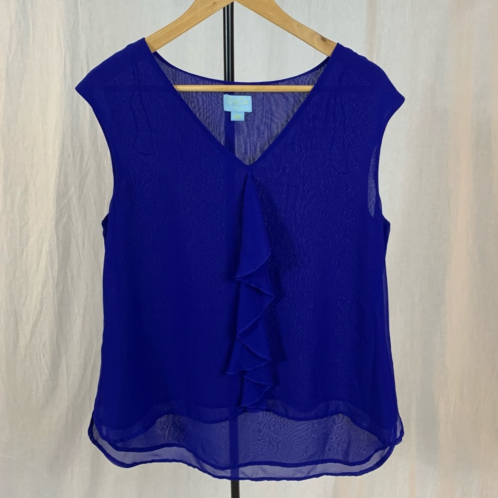 Blue sleeveless blouse